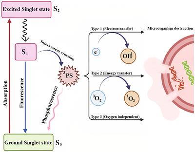 Clinical applications of antimicrobial photodynamic therapy in dentistry